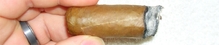 Pacific Cigar Company Robusto - 5